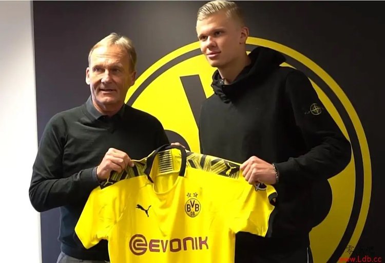 全明星投票榜首之争白热化（全明星票选榜首争夺战愈发激烈）